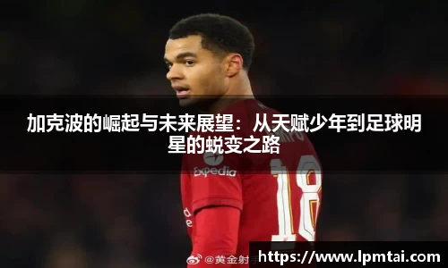 lehu乐虎国际官网